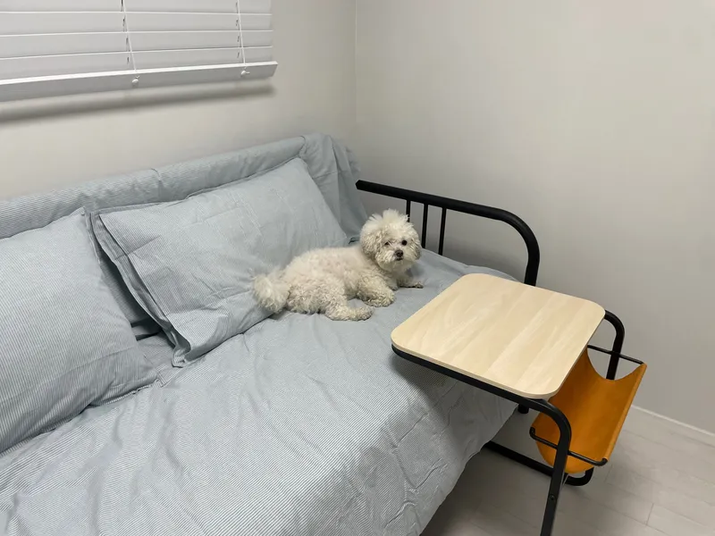 [Seongbuk, Seoul] Scotty’s Place / Free Parking / Max. 5 / Pets Allowed 6