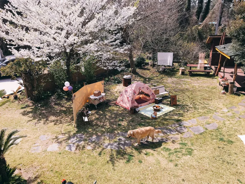 [제주 애월] 나뭇잎 사이로 (통나무집) 10