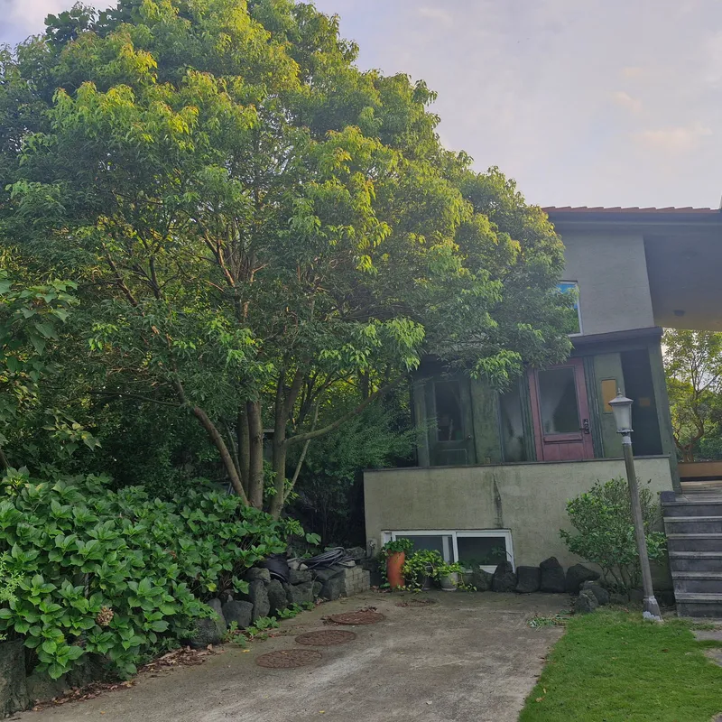 [Jocheon, Jeju] Cypress-tree lodging near the Hamdeok sea 17