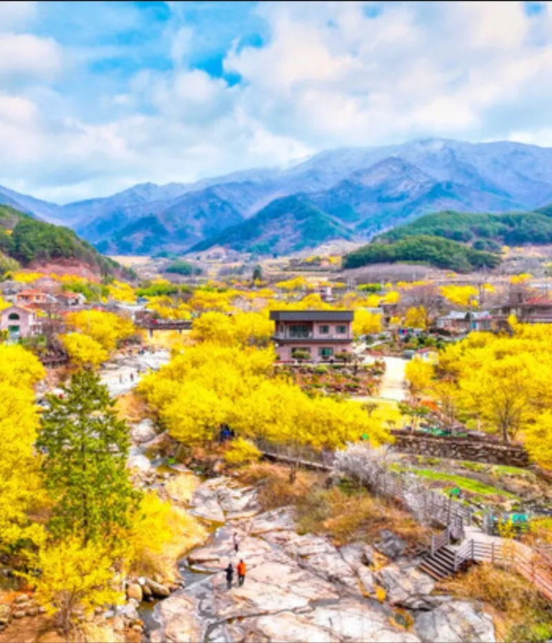 [전남 구례] 산동 수목원과 휴양림사이 숲속의 작은집 독채 마운틴 호수뷰 51