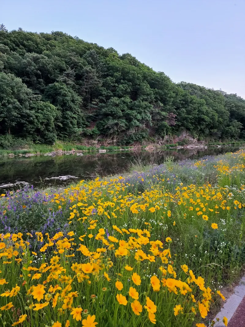 [Gwangju] House with a great view #25 minutes from Seoul #Pretty garden 28