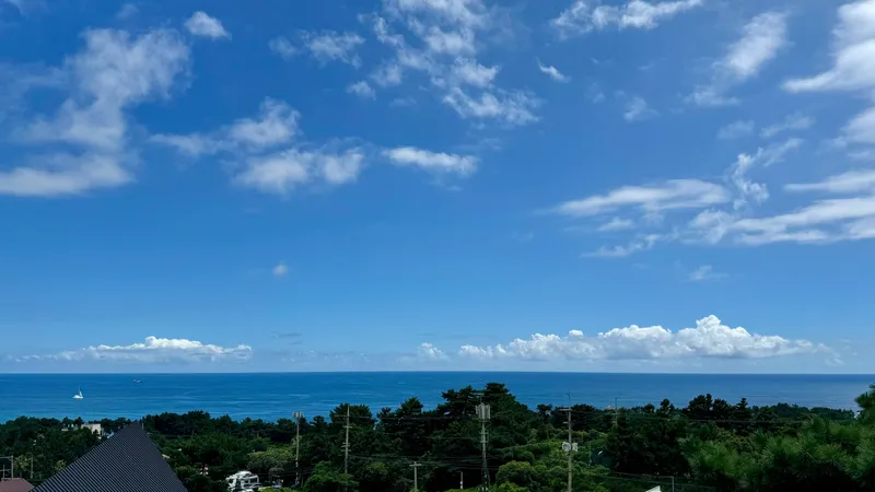 [서귀포 중문동] 15평 방2개,한라산뷰,오션뷰,불멍,바베큐 바다오름202 19