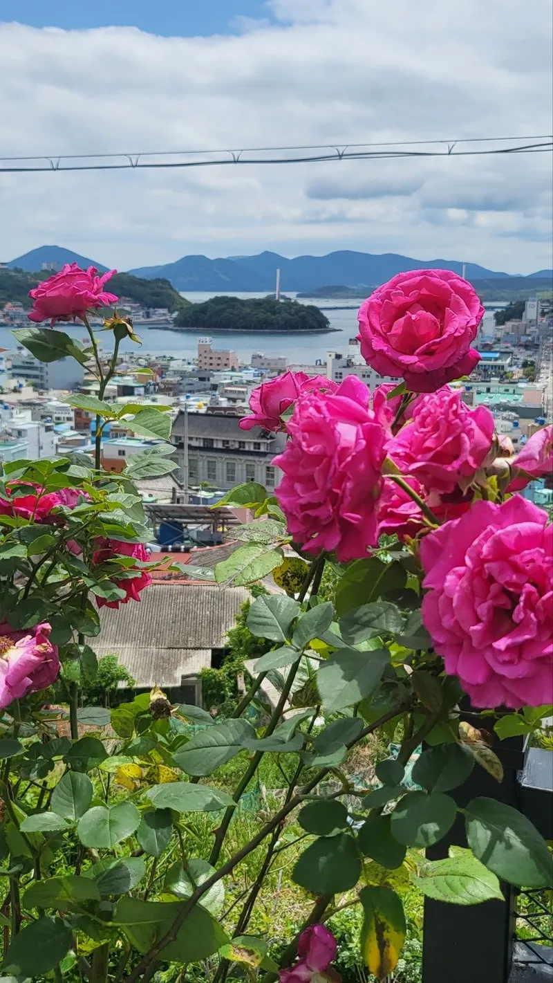 [전남 여수] 돌산대교 야경뷰가 예쁜 단독 22