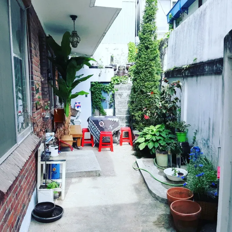 [Jeonju][Jeonju, Jeollabuk-do] 18