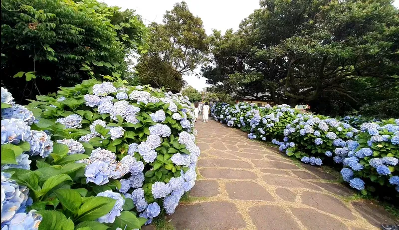 [Seongsan, Seogwipo] Sunrise Peak Penthouse Ocean View Two-Room Duplex Residence 56