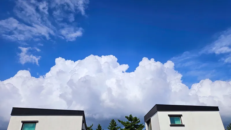 [Hallim, Jeju] #Two living rooms, bedrooms, and bathrooms #A two-story house spacious enough for two families #Dogs allowed 49