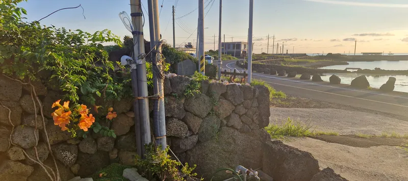 [제주 한경] 바다가 정원인 202호,일몰뷰최고.돌담예쁜정원.해안도로걷기 28
