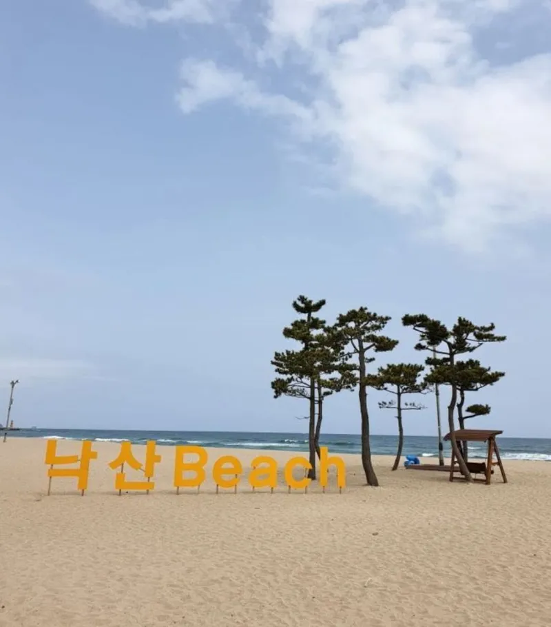 [강원 양양] 아름다운 여행, 설악 해변, 넓은 대지, 전원생활 18