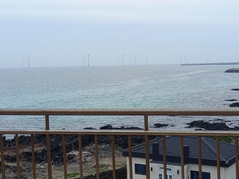 [제주 한림] 비양도/오션뷰가 보이는 협재해수욕장 스테이 #201호 #애견동반 9