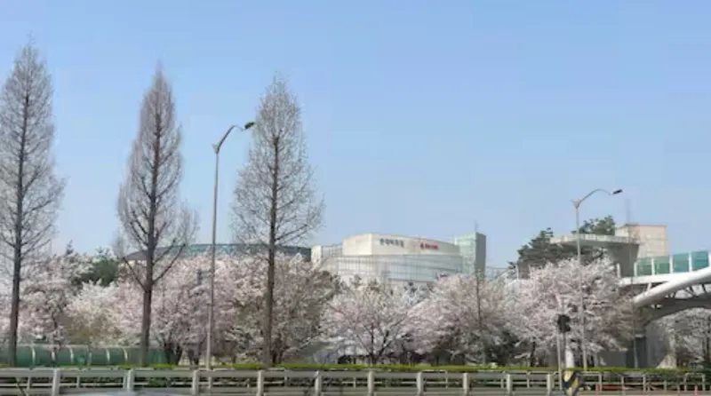 [서울 강서] 김포공항10분 양창형 13