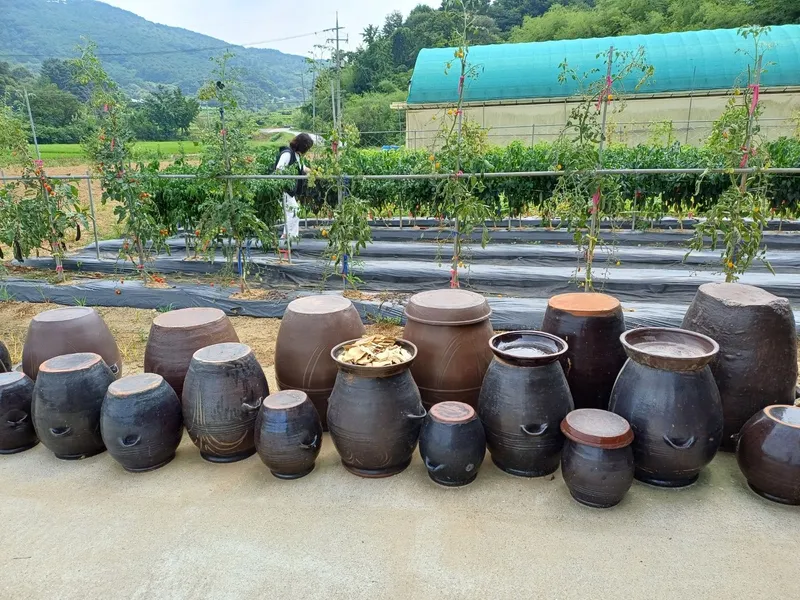 [충남 예산] 충남 예산[송림당] 한옥독채  프리미엄급 최고급사양 넥플리스,디즈니+ 27
