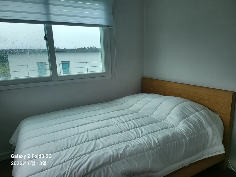 [제주 조천] 단독·복층 30평/수영장·월풀/잔디미당/숲세권/반려견 10