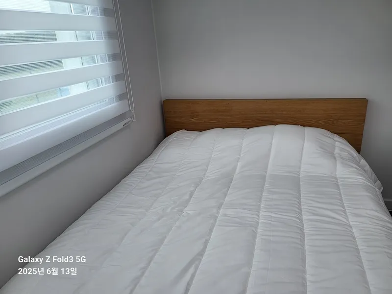 [제주 조천] 단독·복층 30평/수영장·월풀/잔디미당/숲세권/반려견 9