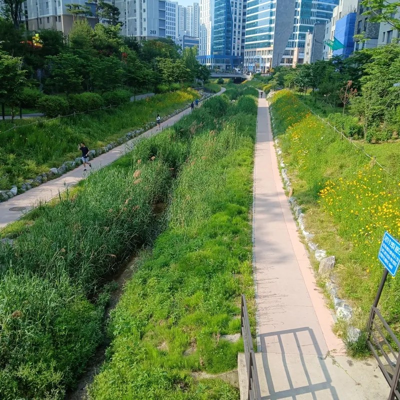 [Goyang] 2-room full option near Hyangdong DMC (Q3+SS1/maximum 7 people) 52