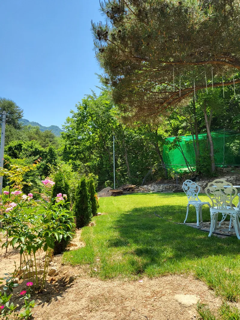 [Hwacheon] Nature-Living Experience Private Forest House Starlight Building #Valley 25