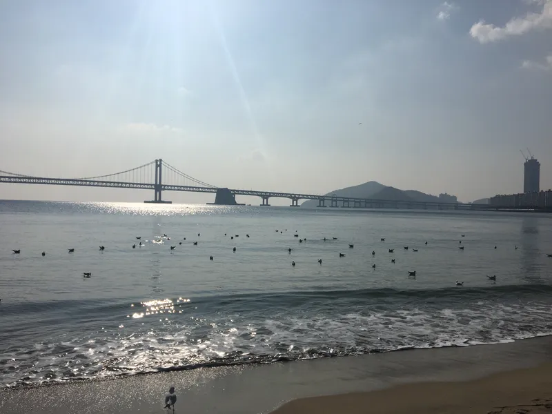 [부산 수영] 광안리 해변앞 방3 16