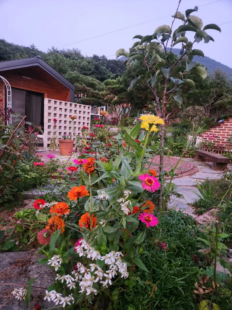 [Boryeong][Boryeong, South Chungcheong Province] A house with a beautiful garden 12