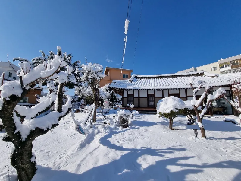[Gangneung] 3-room Hanok detached house with a 100-pyeong wide yard 45