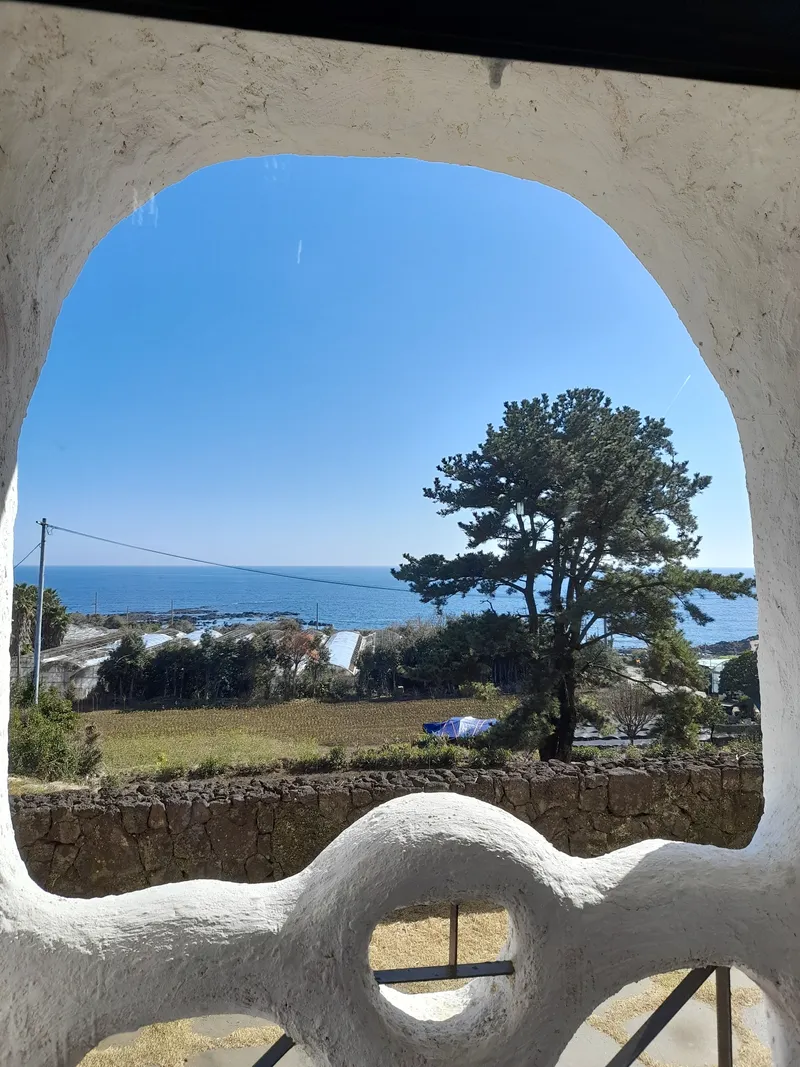 [Topyeong-dong, Seogwipo] #Breakfast #1PetFree Ocean View Yard Accommodation Everseaside 8