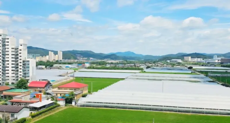 [Cheongju] Jochiwon Osong Fully Furnished Apartment for 2 22
