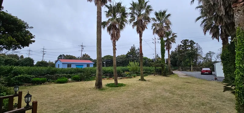 [Seongsan, Seogwipo] Two-room detached house with a large yard full of palm trees #BBQ 15