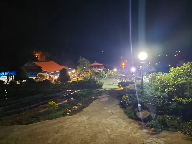 [전남 곡성] 섬진강 기차마을 대나무숲 마당넓은 애견동반 오직 한팀 펜션 110