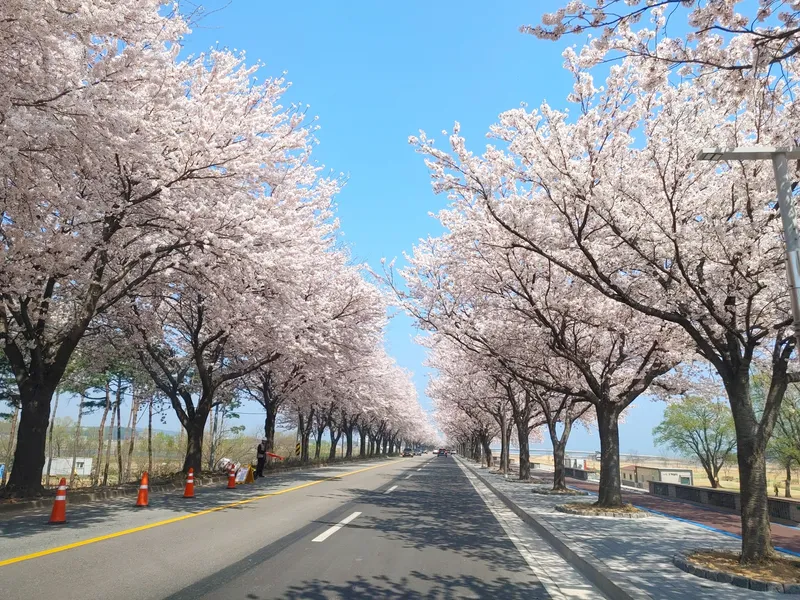 [강원 양양][속초양양]낙산해변일출-&남대천강의석양 조용한 숙소-#정원-&발코니바베큐 40