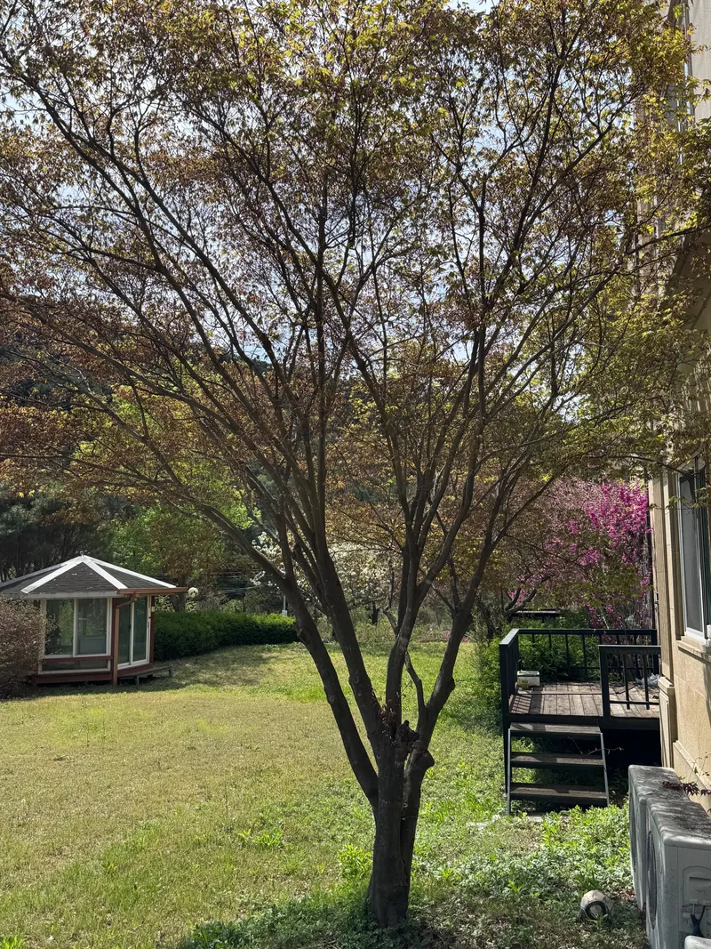 [경기 가평] 마당과 이어지는 테라스가 있는 평화로운 숲 속 스테이 36