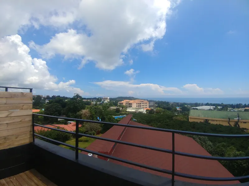 [Hogeun-dong, Seogwipo] Ocean View Jeju Emotional Accommodation #Convenient Transportation #Stone Wall #Premium #Emotional Accommodation 28