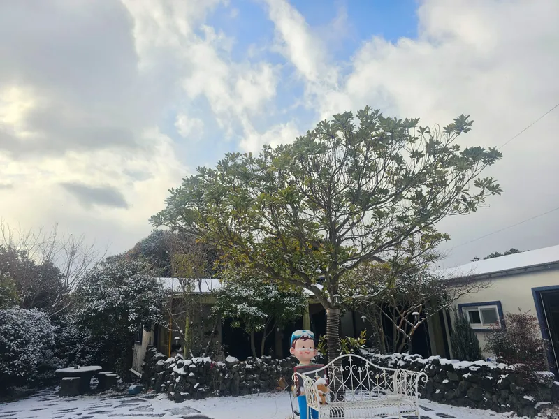[Namwon, Seogwipo] Emotional accommodation #Independent house #3 min walk to the beach #Large garden #Jacuzzi #Barbecue in jar #Sesko 20