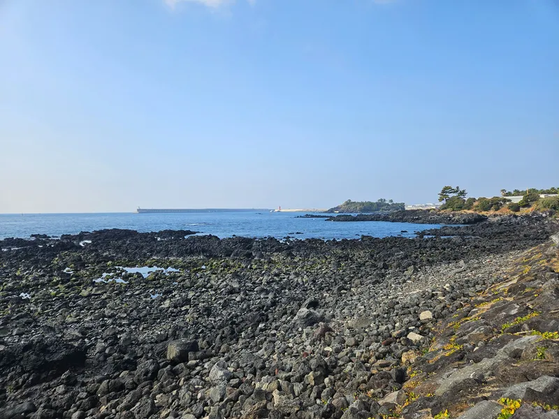 [Seoho-dong, Seogwipo] Three-Room + @ (Attic, Terrace) Ocean View Accommodation 54
