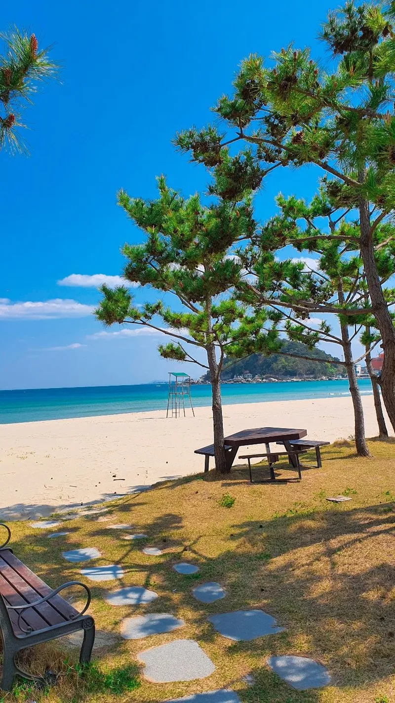 [Yangyang] Right in front of the beach, a seaside fishing village, Ondol one-room (1st floor, room 102) 25