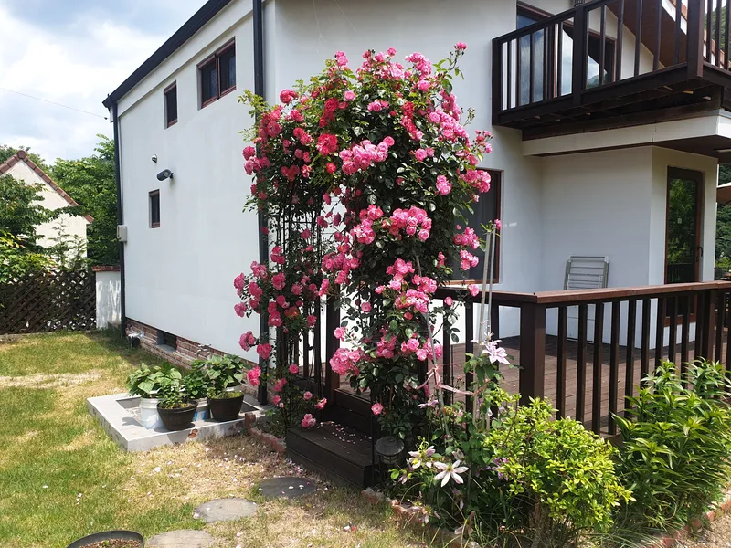 [Ulju, Ulsan] Baenaegol Country House 21