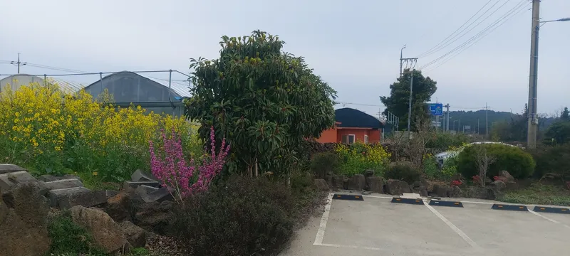 [Andeok, Seogwipo] A pension with a beautiful garden 19