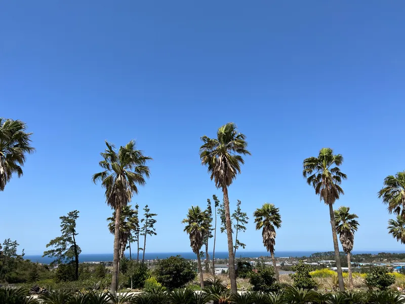 [제주 애월] 애월항 인근 2베드 원룸 펜션 204호 5