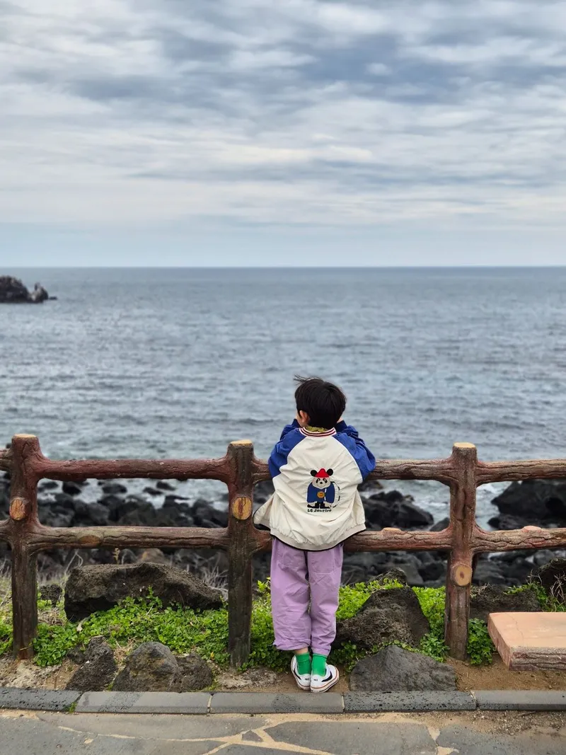 [Topyeong-dong, Seogwipo] (7 days or more) STAY Forest of Silence #1st floor terrace #Forest #Cedar stone wall forest [Seogwipo] 78