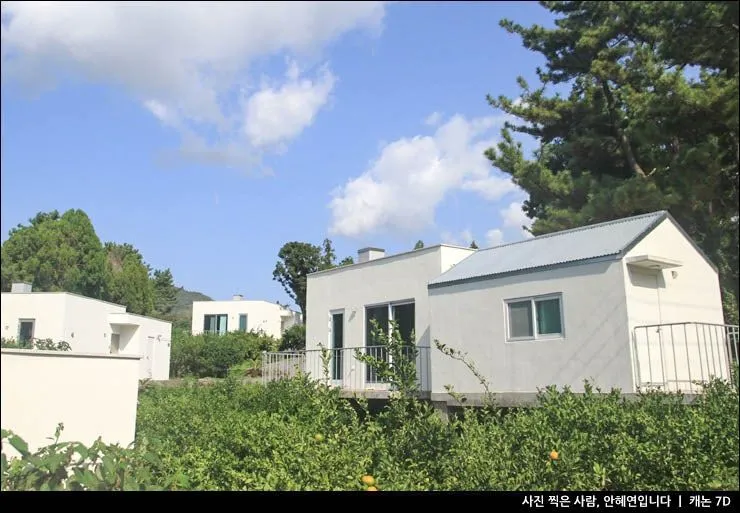 [Haye-dong, Seogwipo][Seogwipo Jungmun] Olle Trail Course 8 Ocean View Private House 30