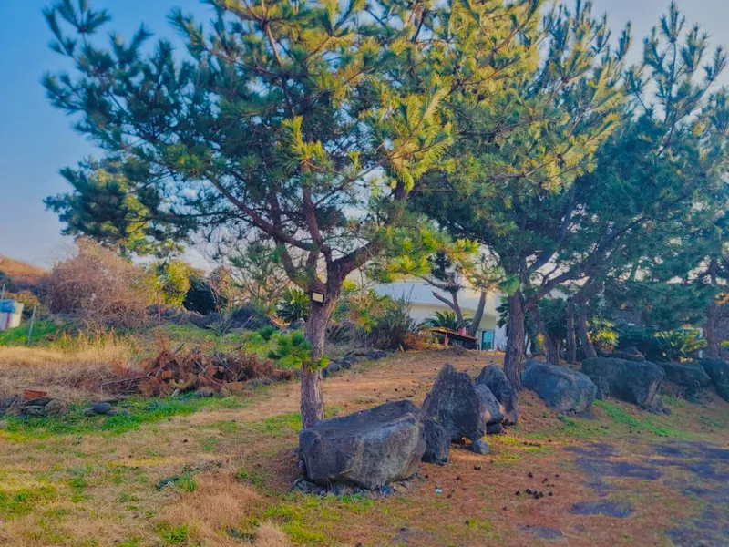 [제주 애월] 1000평 정원이 있는 오션뷰 독채 #해안도로 #스세권 55