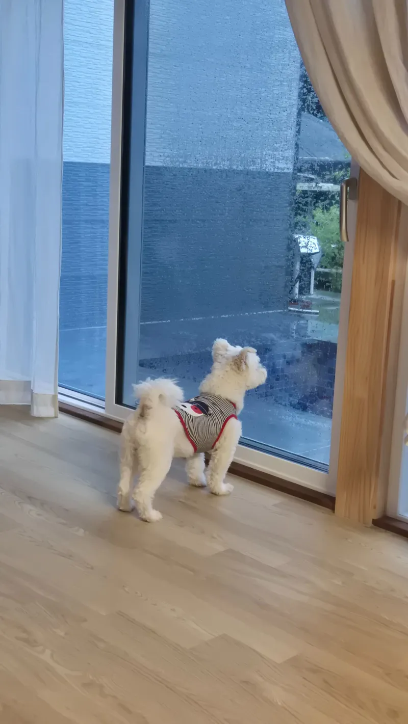 [경남 밀양] 멍 스테이:멍하니 머물다# 그냥 쉬고 싶다면 여기 #반려견동반가능 25