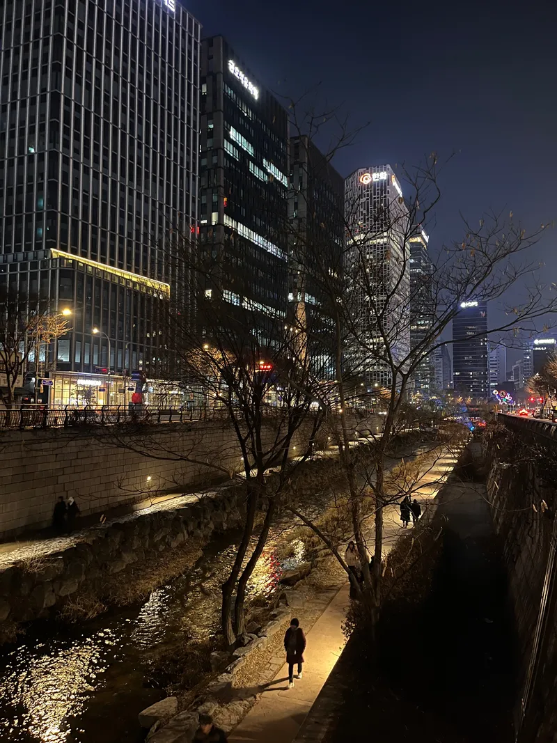 [서울 종로] 종로3가 도보2분 청계천뷰 느좋 숙소#을지로#종로3가#광화문 29