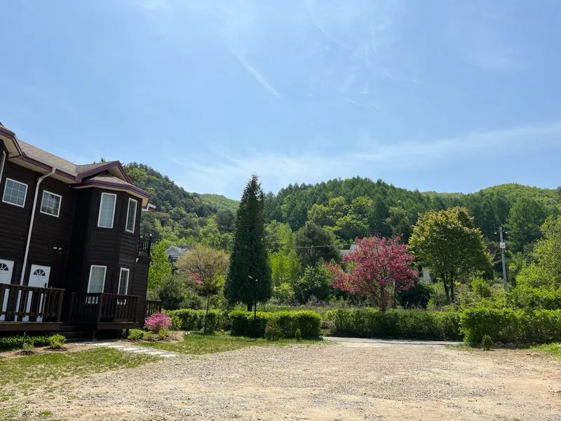 [Pyeongchang] Wildflower Friends_Bongpyeong Forest Complex One-Room #102 18