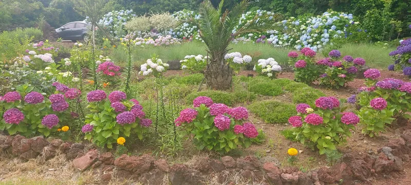 [Andeok, Seogwipo] A pension with a beautiful garden 13