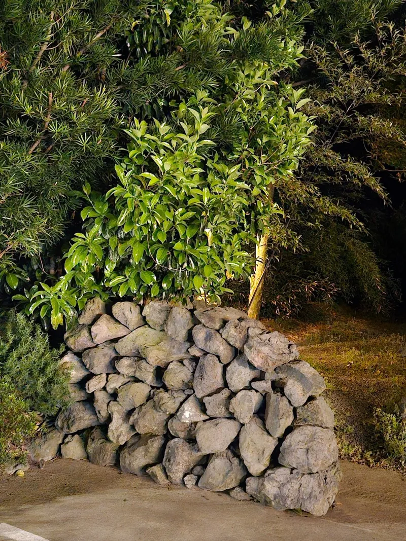 [제주 애월] 편백나무 한옥독채 #애견동반 22