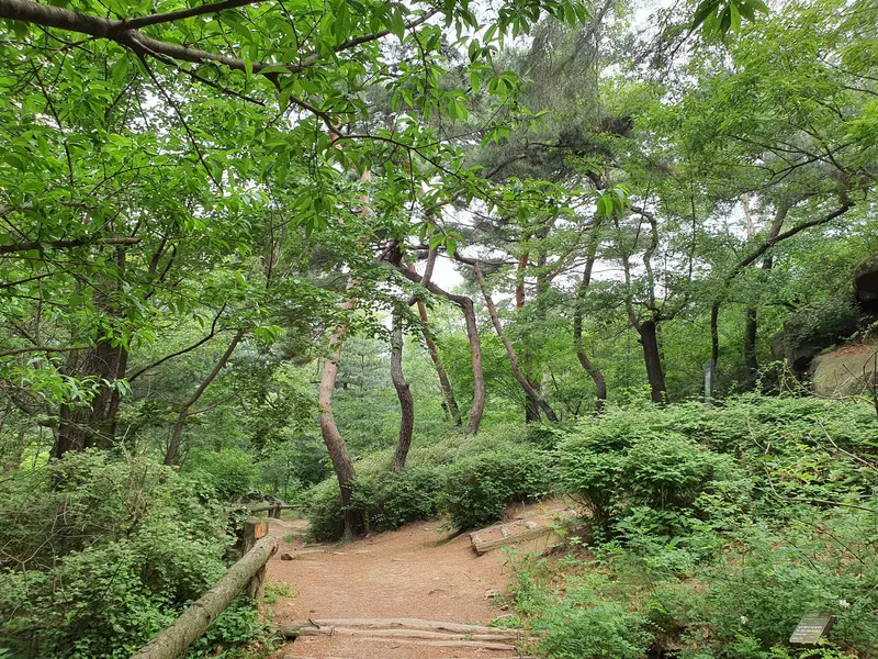 [Jongno, Seoul] Quiet Buam-dong 2 in Jongno (near Buam-dong and Pyeongchang-dong) 32