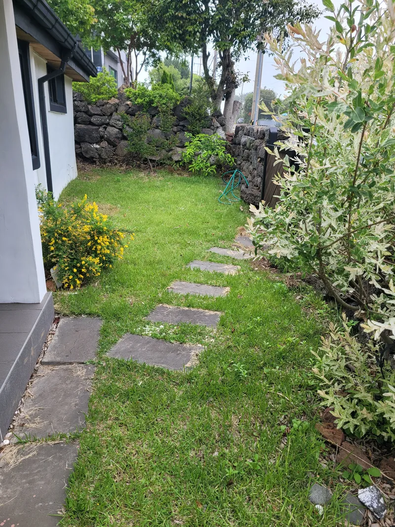 [Namwon, Seogwipo] Taeheung Jeju Original Gojae, detached house, front and back yards, dogs and cats allowed 16