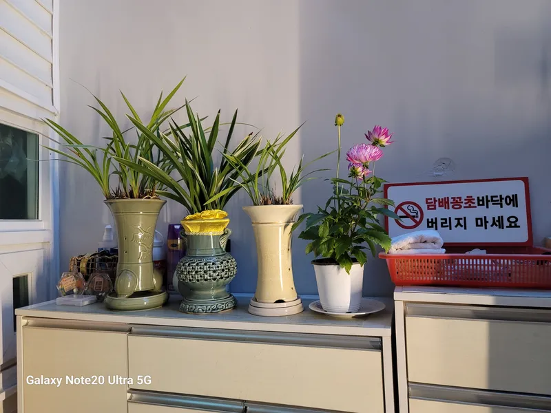 [Yangyang] Right in front of the beach, a seaside fishing village, Ondol one-room (1st floor, room 102) 32
