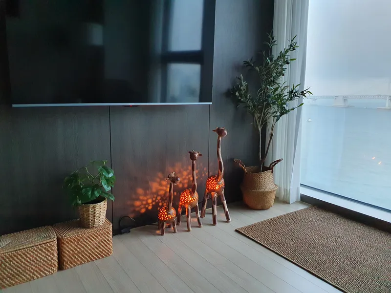 [Suyeong, Busan] Gwangalli high-rise front full ocean view #Dogs allowed 9