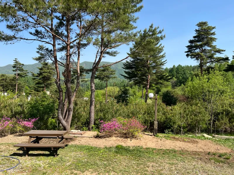 [Pyeongchang] Wildflower Friends_Bongpyeong Forest Complex One-Room #102 19
