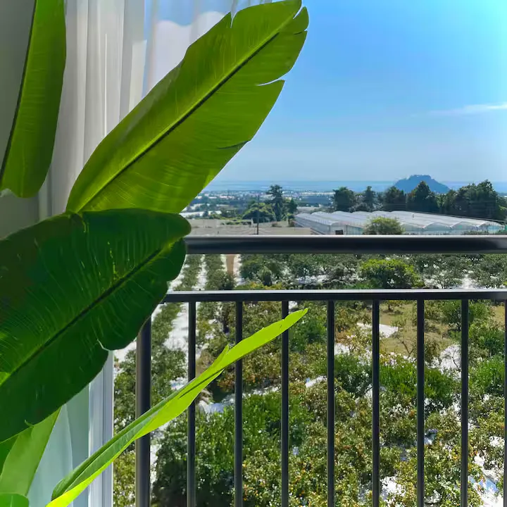 [Sanghyo-dong, Seogwipo] IN My place Jeju 1st floor 20