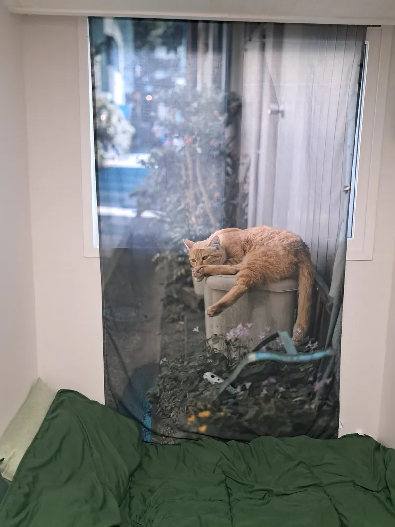 [서울 관악] 신림 신대방 갓성비하우스 1층 14